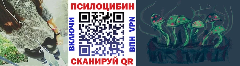 Галлюциногенные грибы Psilocybe  Правдинск 